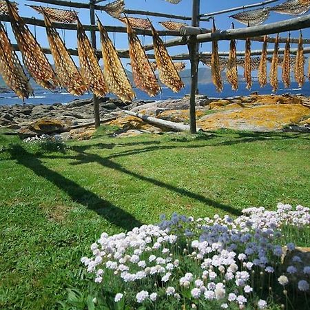 Apartamento Faro Muxía Eksteriør billede